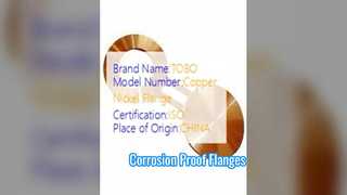 Bridas para gafas Cobre Níquel 90/10 Forjadas