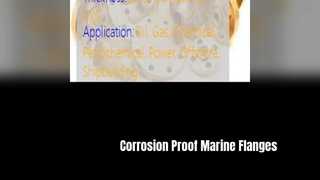 Bridas duraderas de cuello de soldadura de níquel y cobre C70600 para uso marino