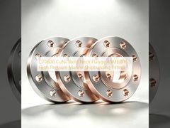 Solución marina de alta presión con brida de cuello soldado C70600 CuNi