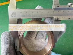 Extremo de trozo de acero al carbono forjado de alta resistencia, accesorio de 3000 PSI