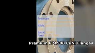 C71500 CuNi 70 30 Brida con cuello soldado Calidad forjada superior