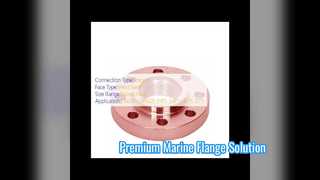 Solución de grado marino con brida de cuello soldado CuNi 70 30
