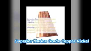 Placa de cobre y níquel ASTM B127 90 10 para construcción naval